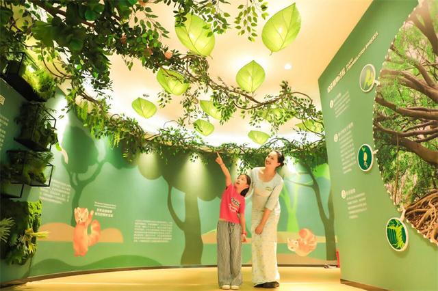 湄公河旅游旗下普洱太阳河森林公园开启没有天花板的《自然公开课》