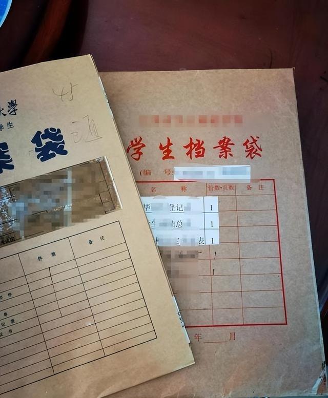 康辉：我高考分数远超清北，却被人暗中顶替，依靠父亲查明真相！