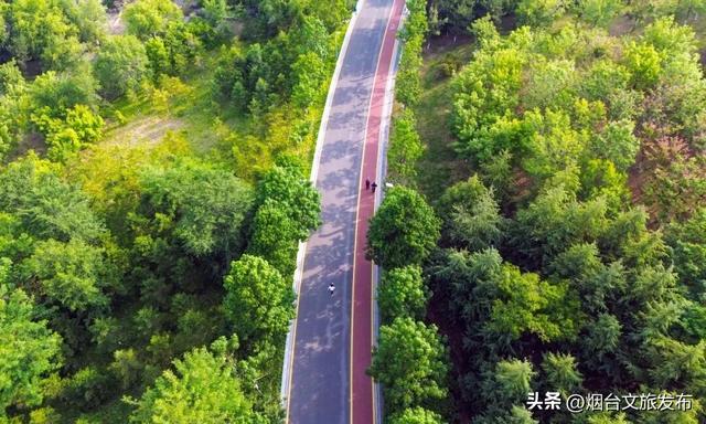 【乐游烟台】沿海穿林登山，在烟台黄渤海新区收集三种风景！