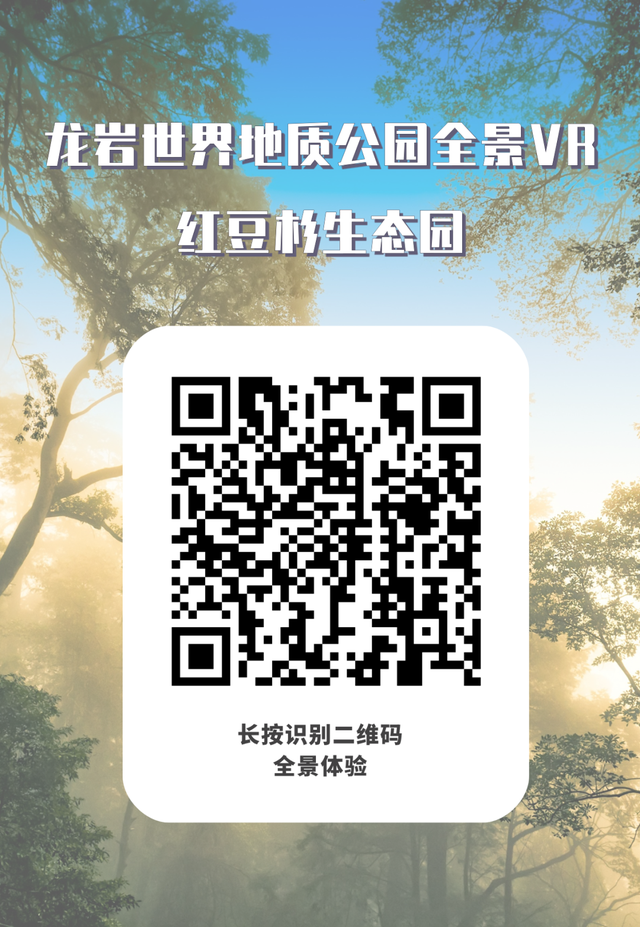 震撼！720°云端漫游龙岩世界地质公园