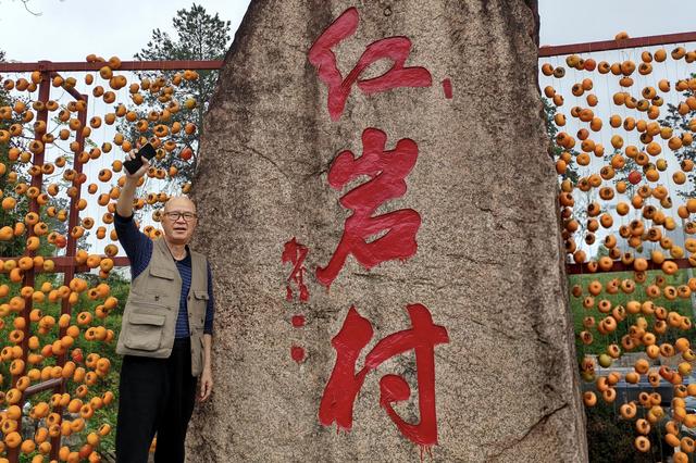 桂北秋色行之柿红