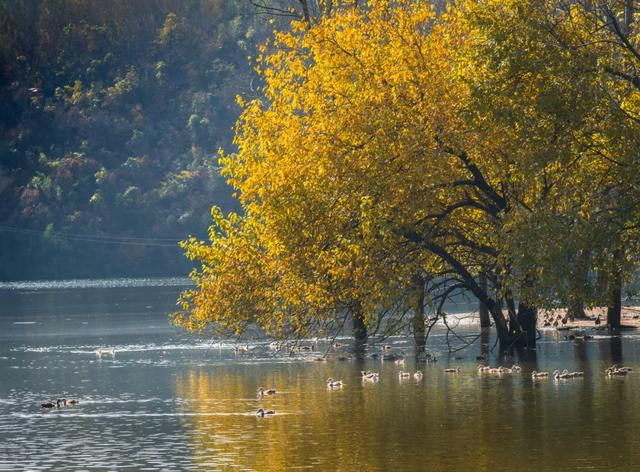 一键收藏!明光南部2025年秋景大赏