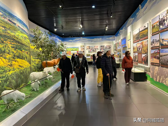 平城区残联开展“拥抱世界，共享美好”秋游活动