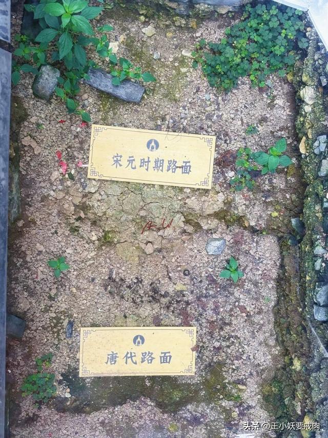 叽里咕噜说啥呢，周末let’s 去镇江！