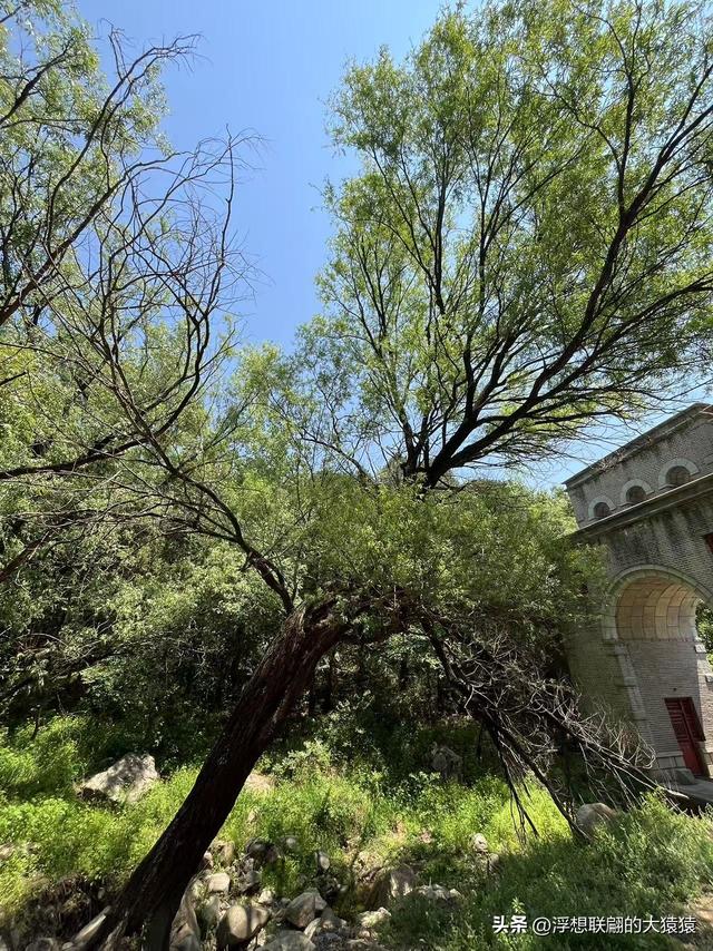 这回去莱芜爬山，目的地：永宁崮，却误打误撞又进了大舟院
