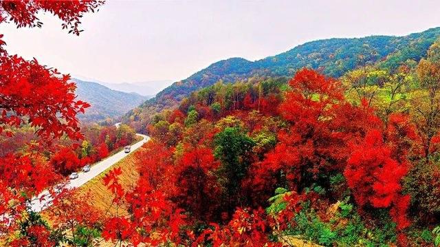 “红叶之城”的四季蝶变——专访蛟河市文广旅局局长杨霄琪