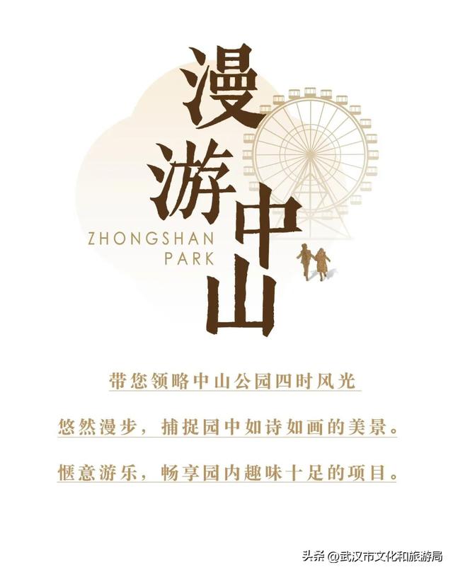 美到华妃都停步！最受欢迎的菊展打卡点就在这里