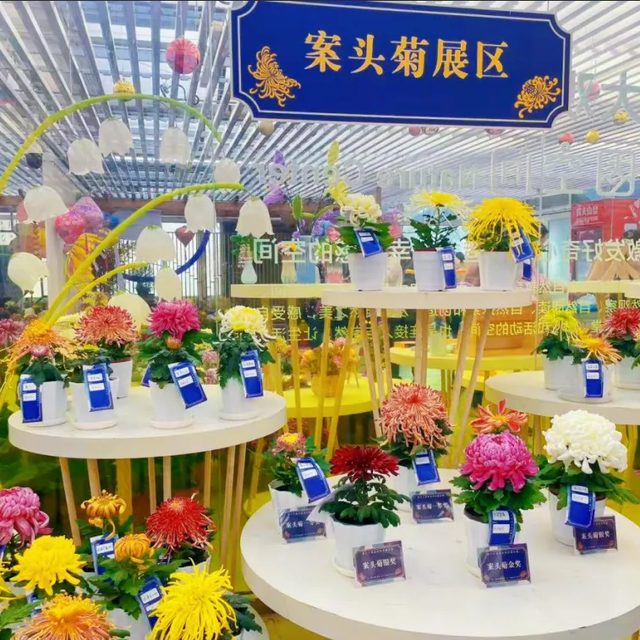 不当“菊”外人，丰台赏菊正当时！