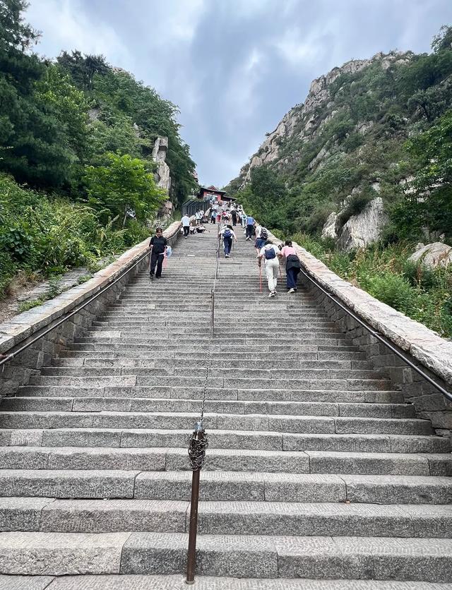 上海人爬了泰山和黄山，实话实说，差别还是很大的