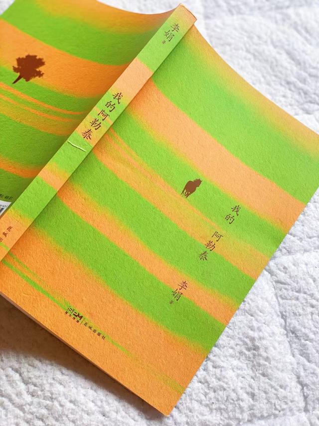 N刷《我的阿勒泰》，真的被狠狠治愈！