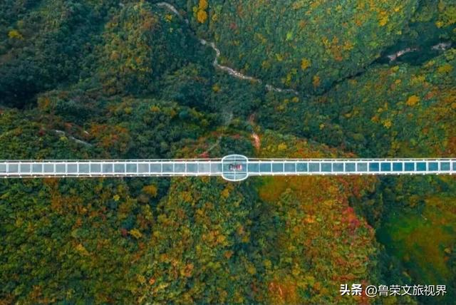 穿越米仓红枫，探秘巴山大峡谷：秦巴山脉里的秋日秘境与千年巴韵