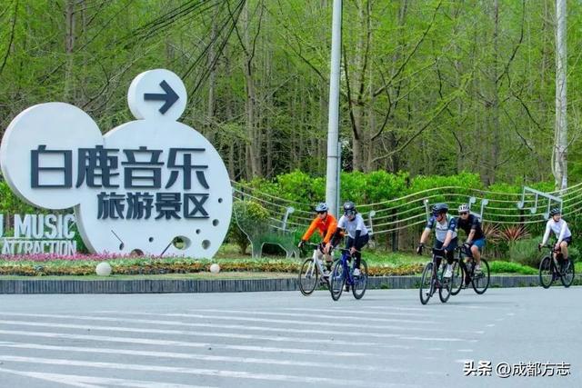 成都这座桥获国际大奖！ 造型惊艳还会“唱歌”