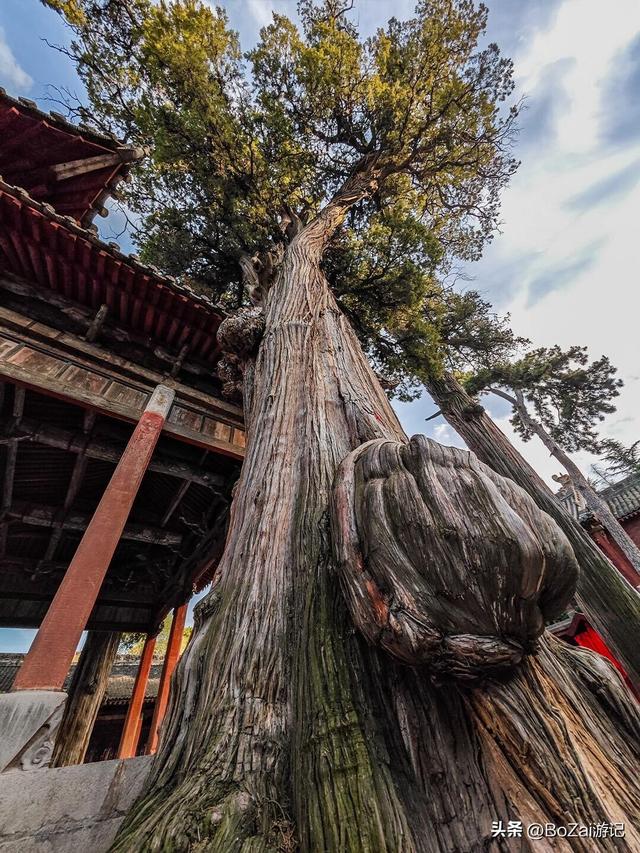 晋城藏绝美古庙，西溪二仙庙出圈，金代梳妆楼太罕见