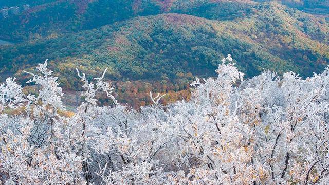 秋之彩色吉林｜吉林大青山：一半绚烂，一半素雅