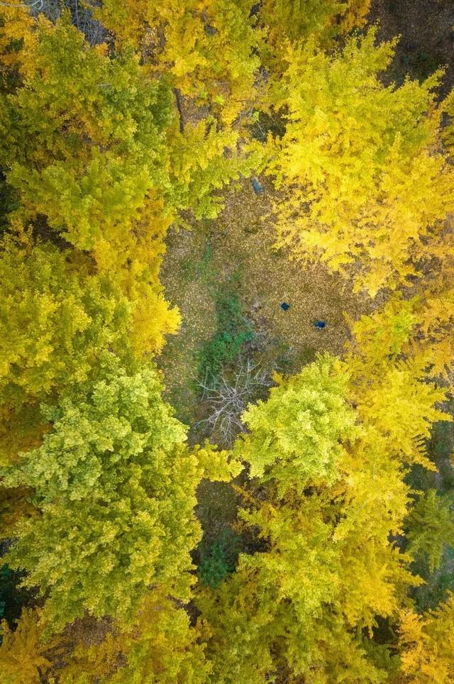 从街角到古村，一键解锁贵阳的秋日浪漫