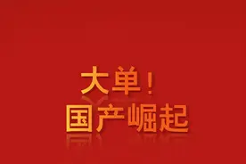 国产崛起！中国电信集采15.6万台服务器，ARM架构赢麻了图片