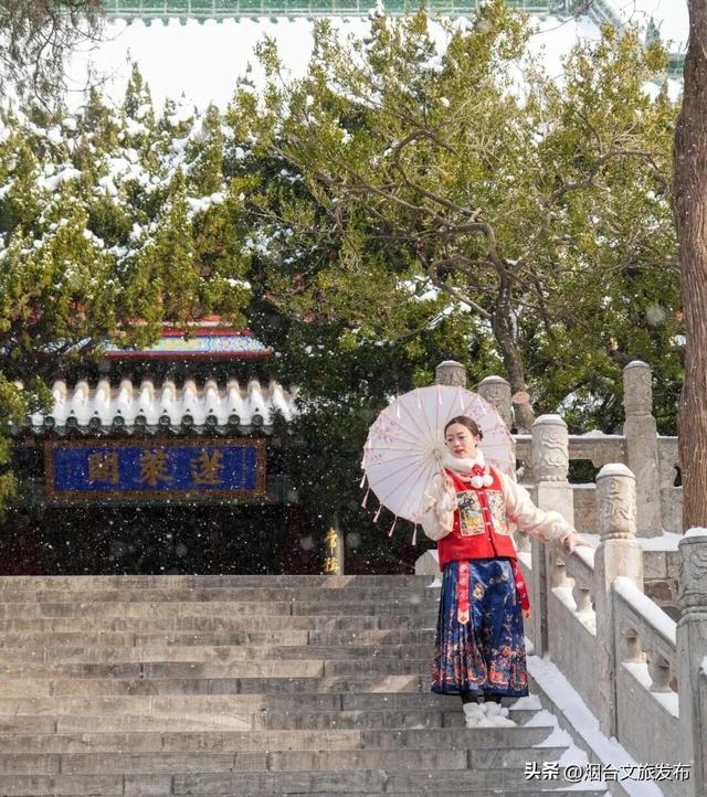 【乐游烟台】周末好去处丨全是花花！烟台神仙小店被花包围了