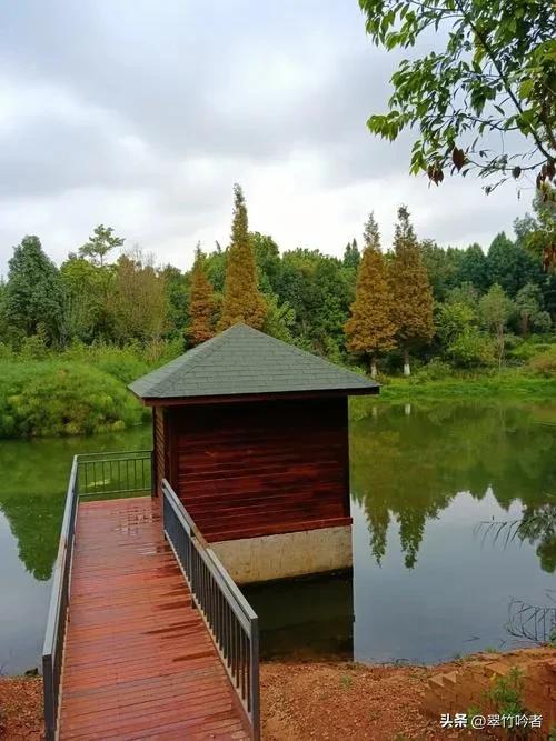 后悔来晚了,地铁直达的免费宝地,遛娃拍照绝佳,周末立刻出发。