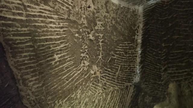 重庆大学城深山发现一排蛮子洞，内部有古人留下的文字和生活痕迹