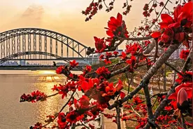 这是一条很“春天”的推文！图片