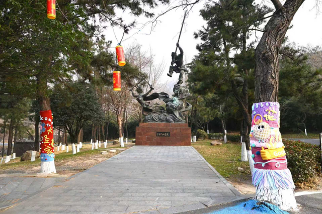 连云港：花果山大树集体穿上了“猴哥牌”毛衣