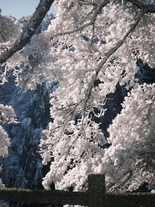 杨迪实名安利！炎炎夏日，来黄山“云”赏雪景降降温