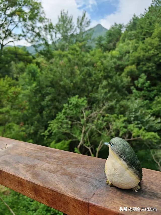 【乐游烟台】石门里新地标！雾峰溪岸所图咖啡正式营业