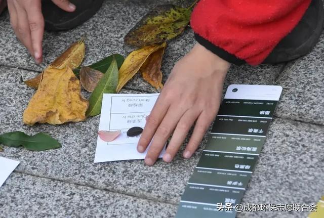 环保志愿 “趣”游蓉城|锦城湖“无痕自然”体验活动