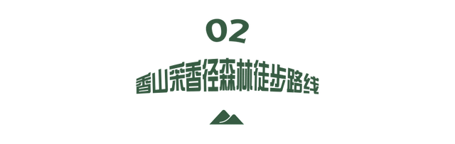 张家港很火的「线路」，后悔没早点去打卡