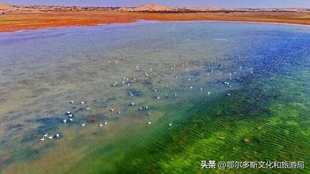 美到失语！秋天的七星湖，是上帝打翻的调色盘