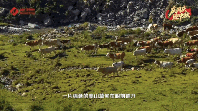 走，去五台山！ “找回自在” 身心归处是青山