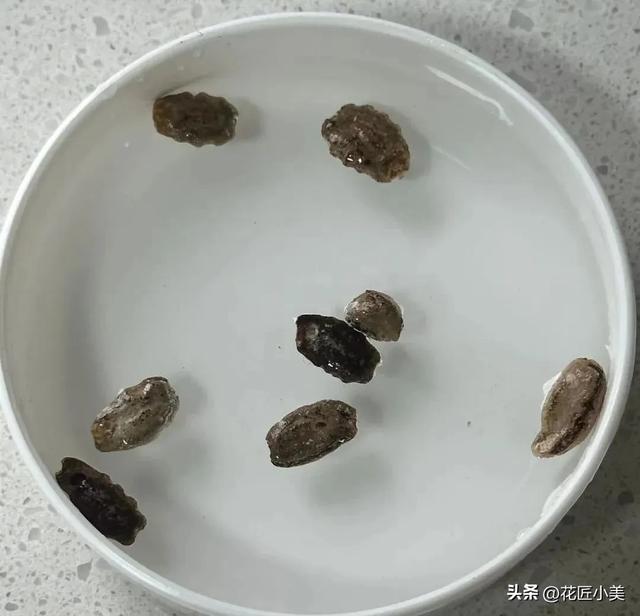 妈妈在老家种了一架“蛇瓜”,产量高到吃不完,网友:看着就怕