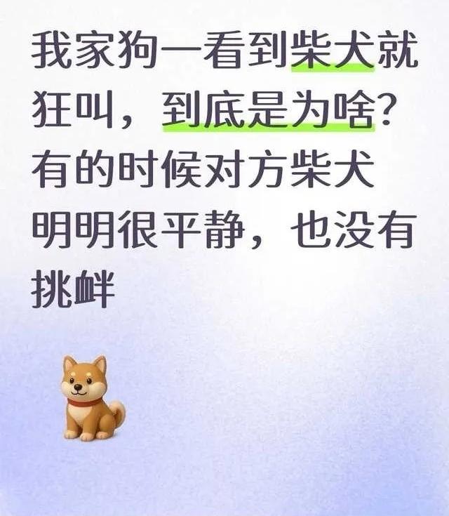 今日笑话：不就是洗衣服吗