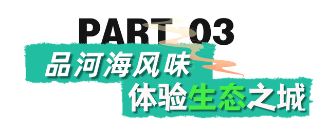奔“县”山东！这里是黄河入海 大美垦利