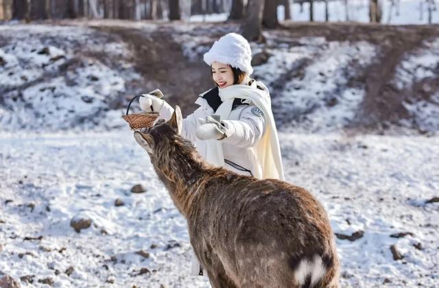冰雪兴安 续写新章