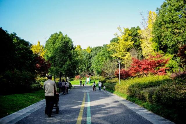 这个“名牌加身”的西南山城，正适合淡季来玩！