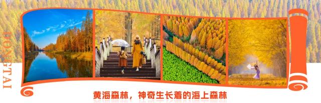 东台秋日美景推介亮相上海