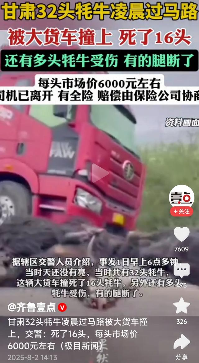 甘肃牦牛凌晨过马路被大货车撞上！死了16头，每头价值6千元左右