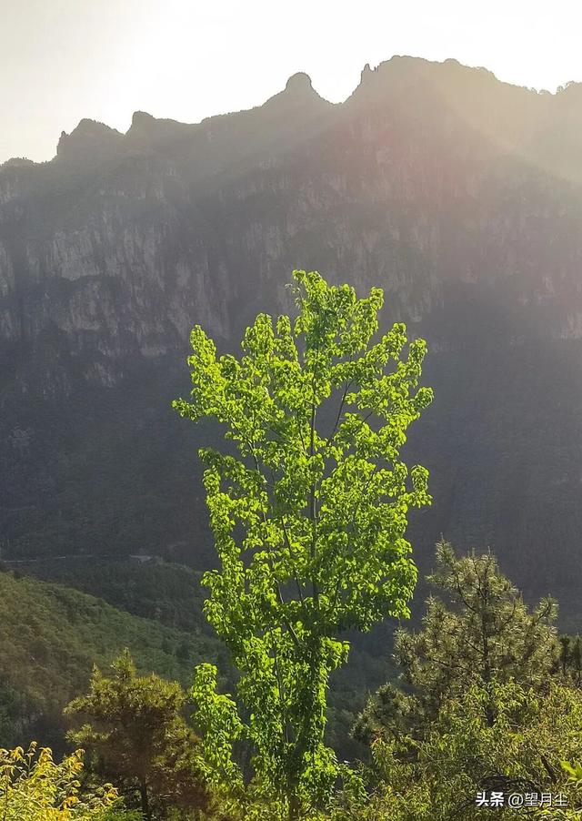 《太行山徒步记：从西走到南》免费的挂壁公路，悠悠然的崖边行走