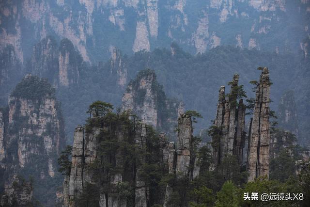 张家界国家森林公园的自然诗篇