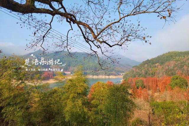 绍兴新昌这处风景少有人来，却是宝藏型桃源秘境，红杉林美不胜收