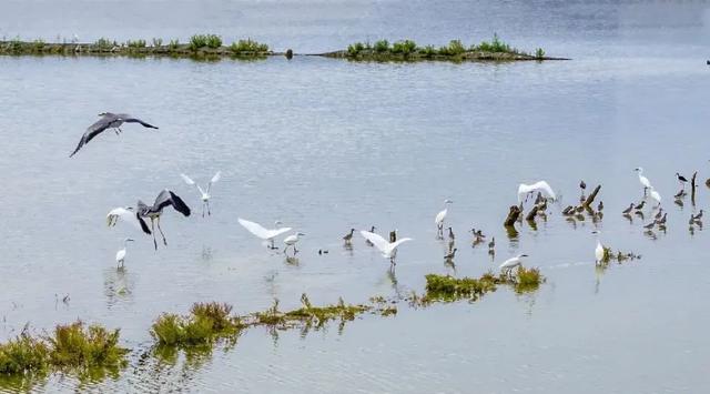 免费!玩转运城冬日绝美风光!