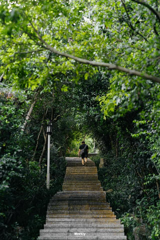 深圳的未来，为什么看前海？