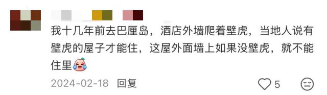 阻止我去巴厘岛旅游的唯一理由：