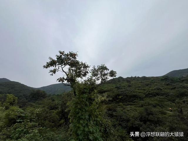 在邹平上回村可以攀爬摩诃峰，但俺没爬，俺买了农家菜打了山泉水
