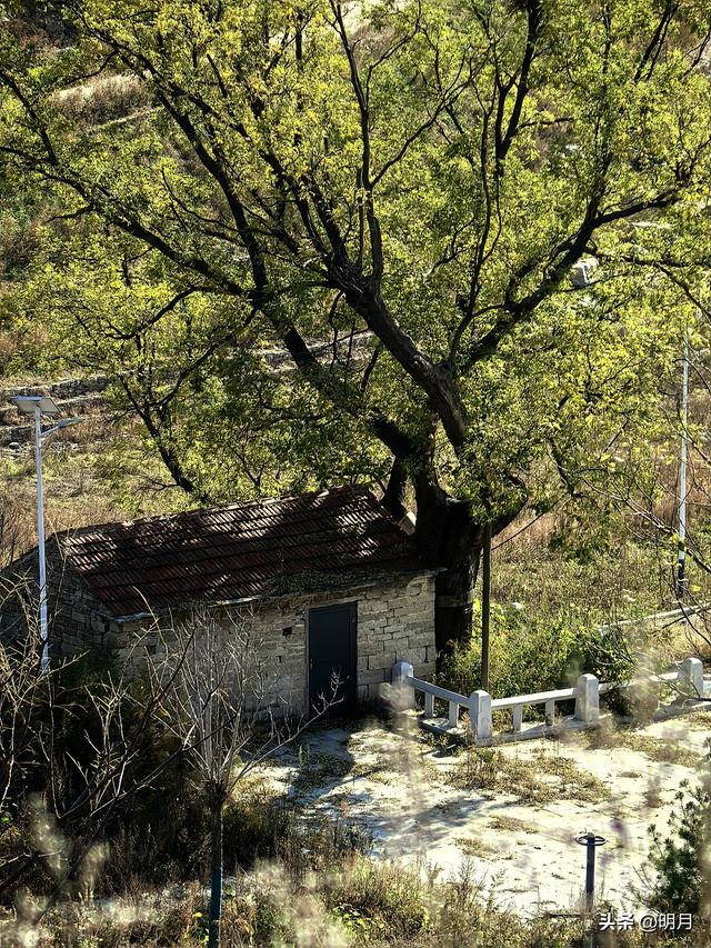 大岭，一个小众却超级美丽的地方