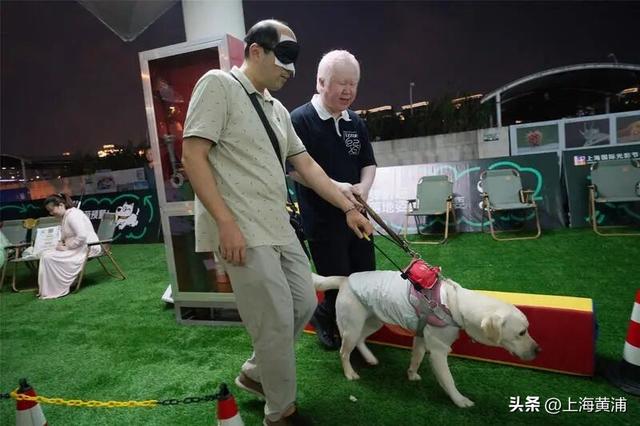 多图！一场跨越8天的光影森林“派对”已在黄浦滨江开启，大人小孩萌宠都能玩嗨！