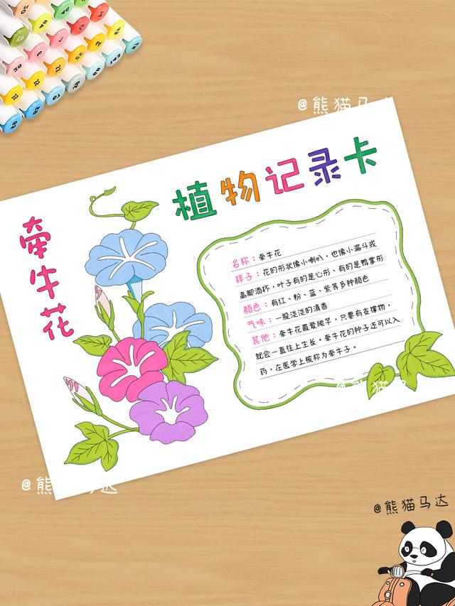 植物记录卡手抄报合集 01 💐