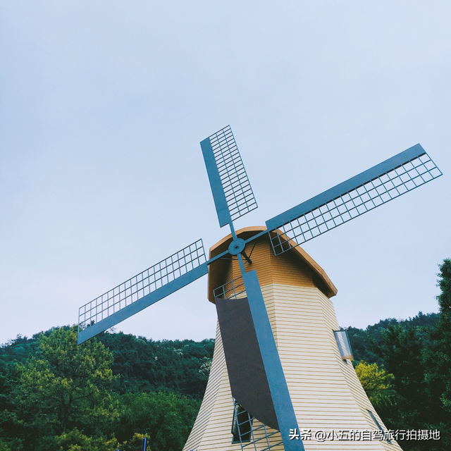 杭州太子湾藏着一片秘密花园 本地人私藏的秋日秘境