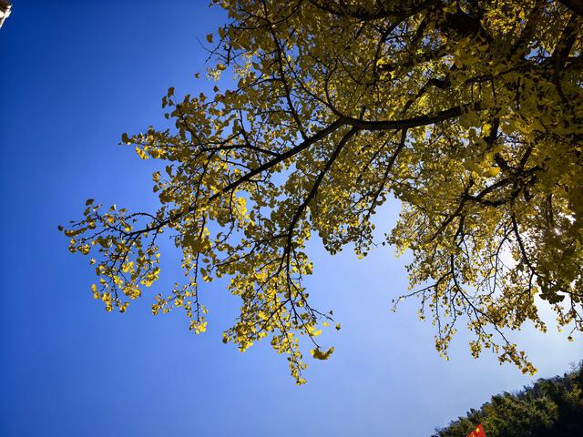 徒步八都岕黄金大道